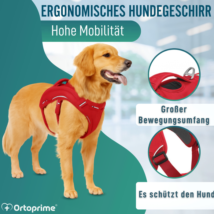 Stützharnisch für Assistenzhunde | 5 Größen
