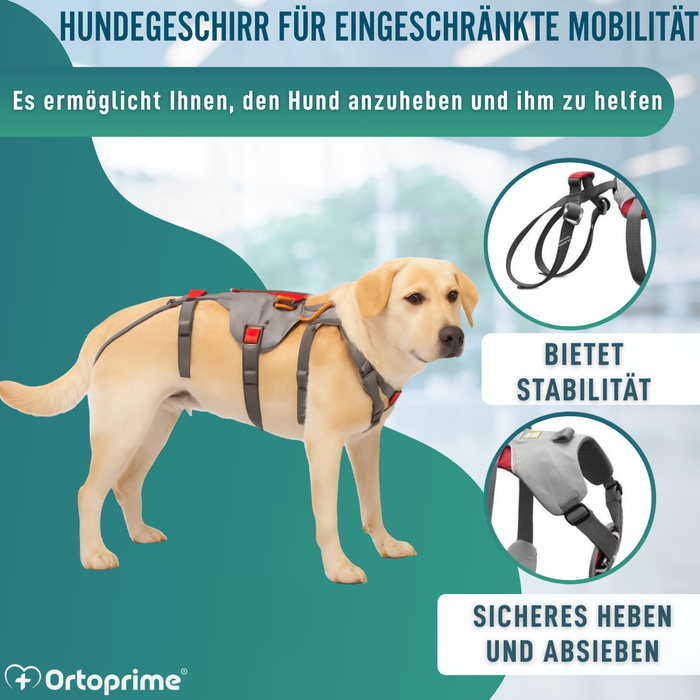 Kletter-Unterstützungsgeschirr für Hunde | Hohe Belastbarkeit