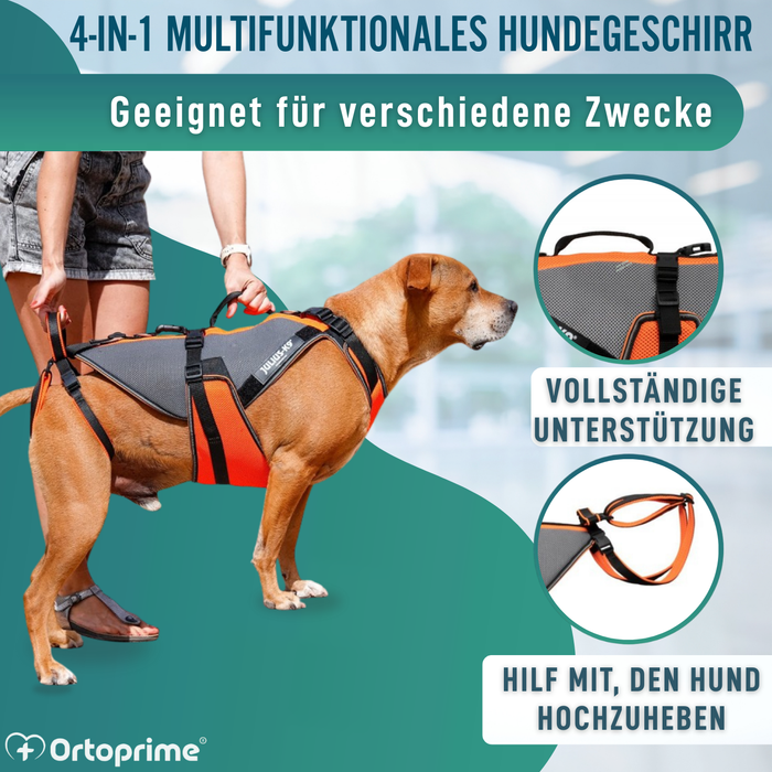 Ganzheitliches Rehabilitationsgeschirr für Hunde | 3D-Material