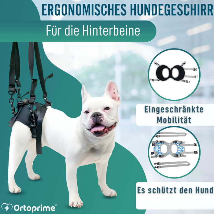 Hundegeschirr für Eingeschränkte Mobilität der Hinterbeine