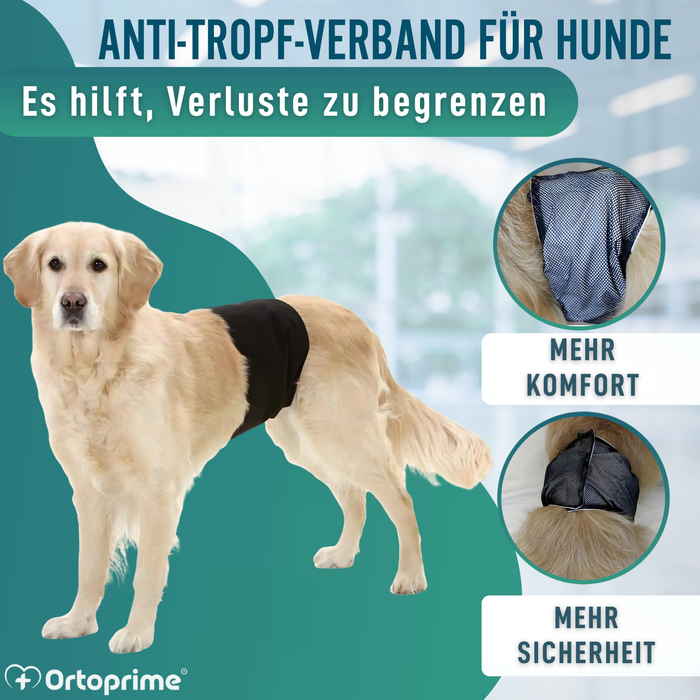 Anti-Leckband für Inkontinenz bei Hunden | Männlicher Hund