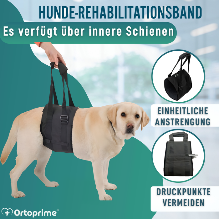 Hilfe-Band für Hunde mit Eingeschränkter Mobilität | 5 Größen