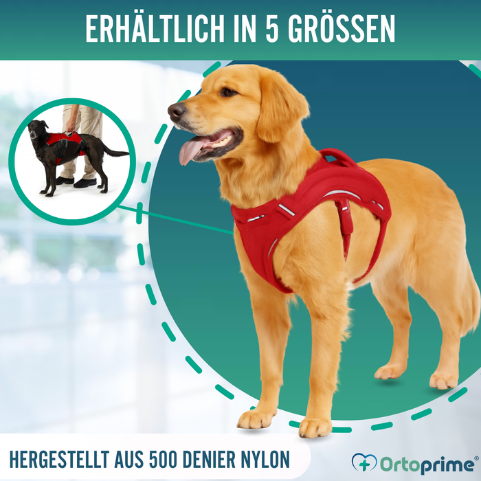 Stützharnisch für Assistenzhunde | 5 Größen