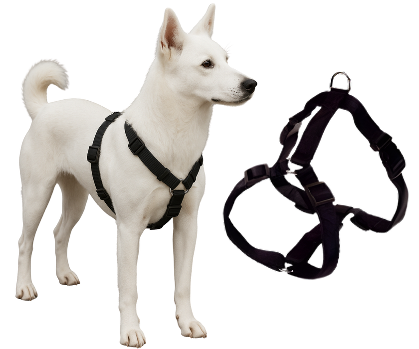 Hundegeschirr für Neurologische Rehabilitation | 5 Größen