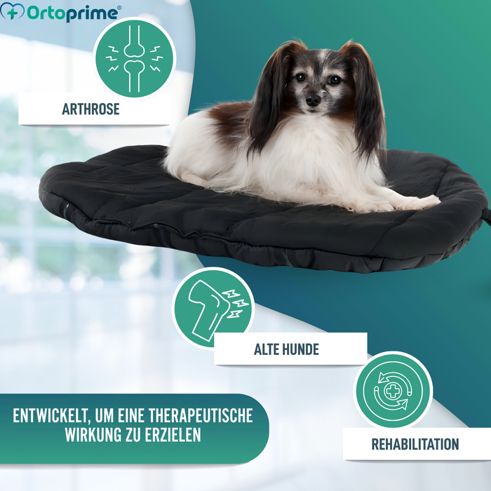 Thermobett für Hunde mit Arthrose | Therapeutisches Gewebe
