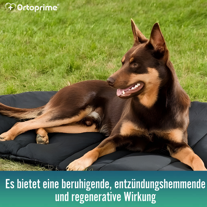 Thermobett für Hunde mit Arthrose | Therapeutisches Gewebe
