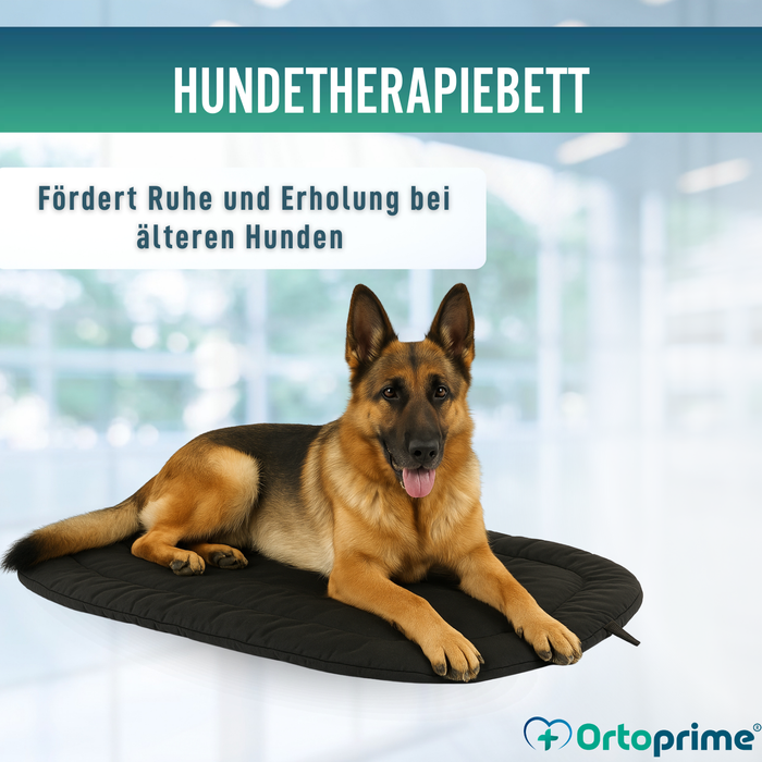 Thermobett für Hunde mit Arthrose | Therapeutisches Gewebe