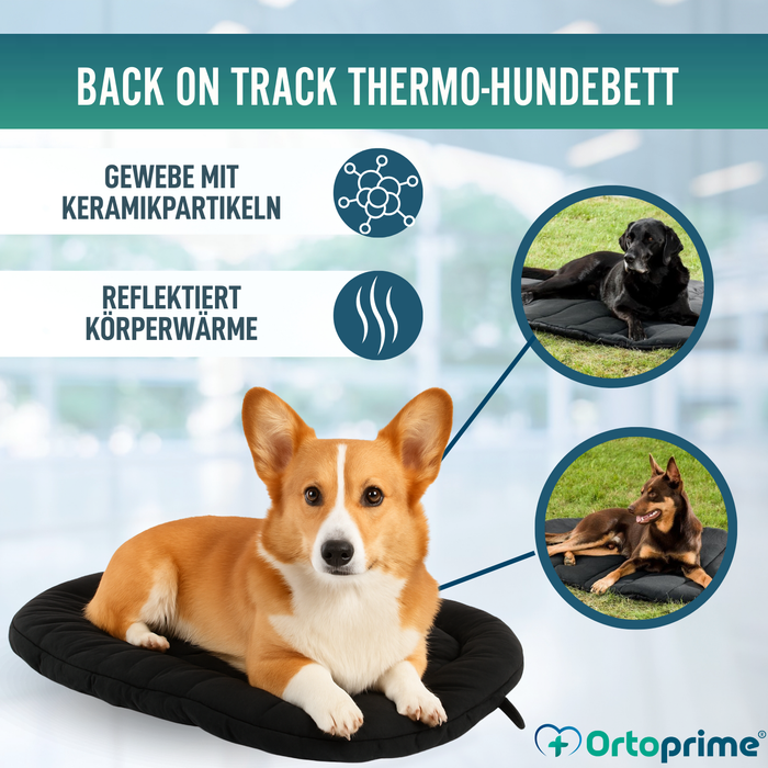 Thermobett für Hunde mit Arthrose | Therapeutisches Gewebe