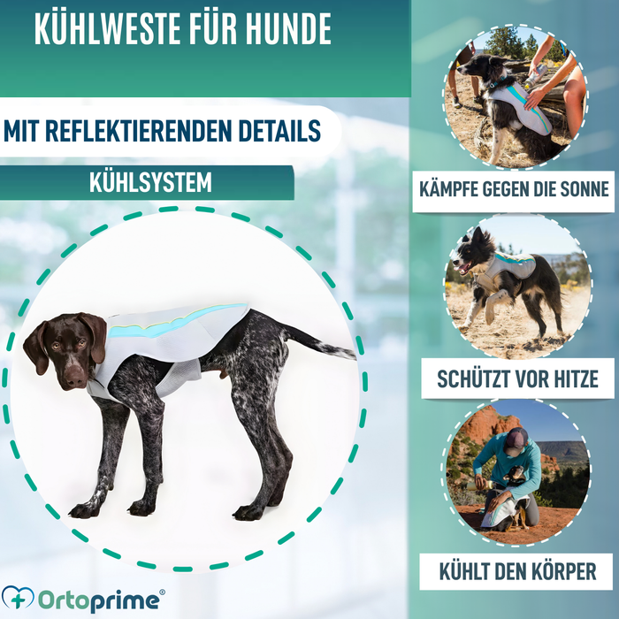 Sommerweste für Hunde | Kühlung durch Verdunstung