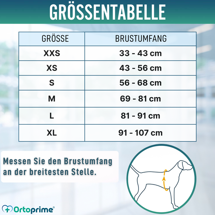 Sommerweste für Hunde | Kühlung durch Verdunstung