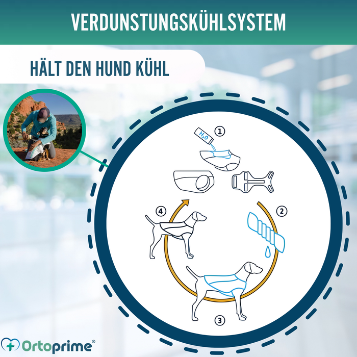 Sommerweste für Hunde | Kühlung durch Verdunstung