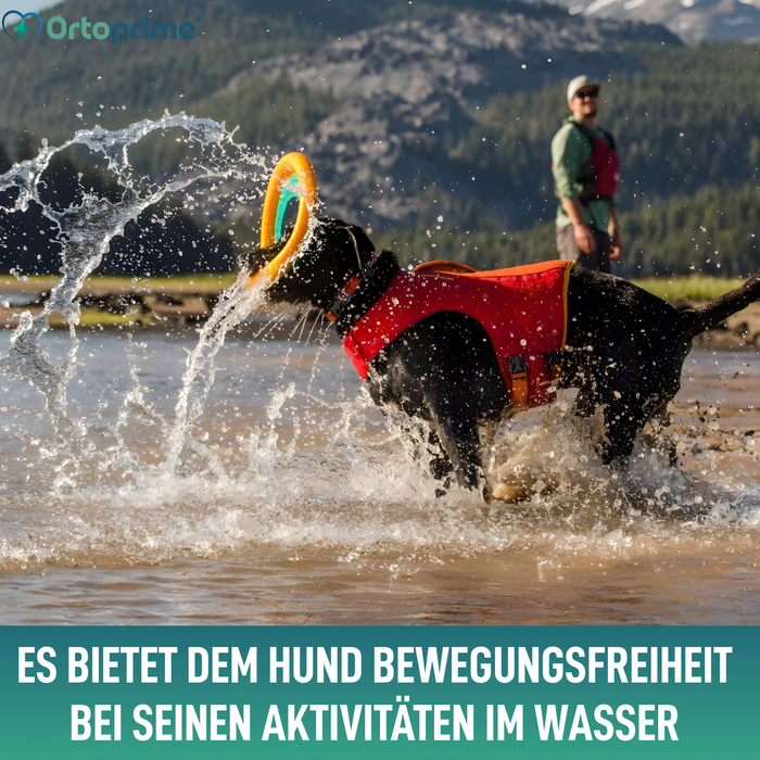 Hunde-Rettungsweste Mehrfachnutzung | Wassersicherheit