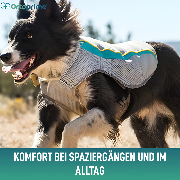 Sommerweste für Hunde | Kühlung durch Verdunstung