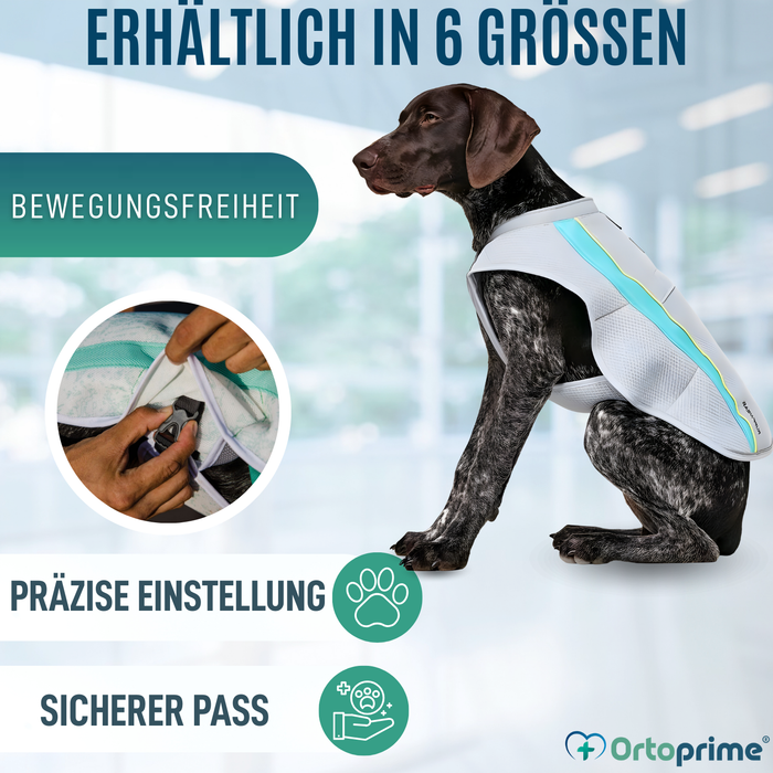 Sommerweste für Hunde | Kühlung durch Verdunstung