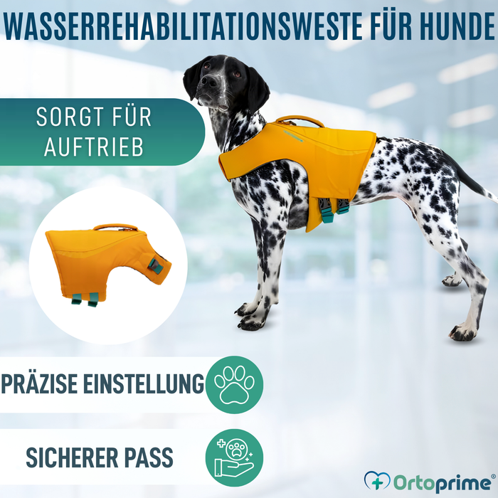 Hunde-Rettungsweste Mehrfachnutzung | Wassersicherheit