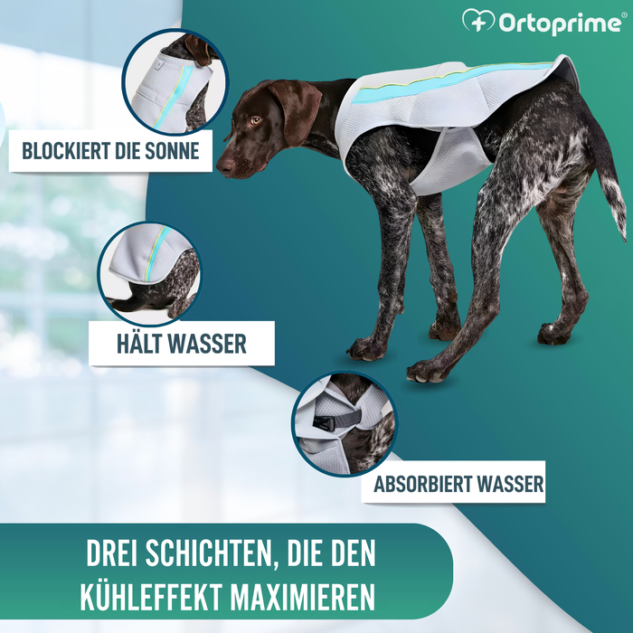Sommerweste für Hunde | Kühlung durch Verdunstung