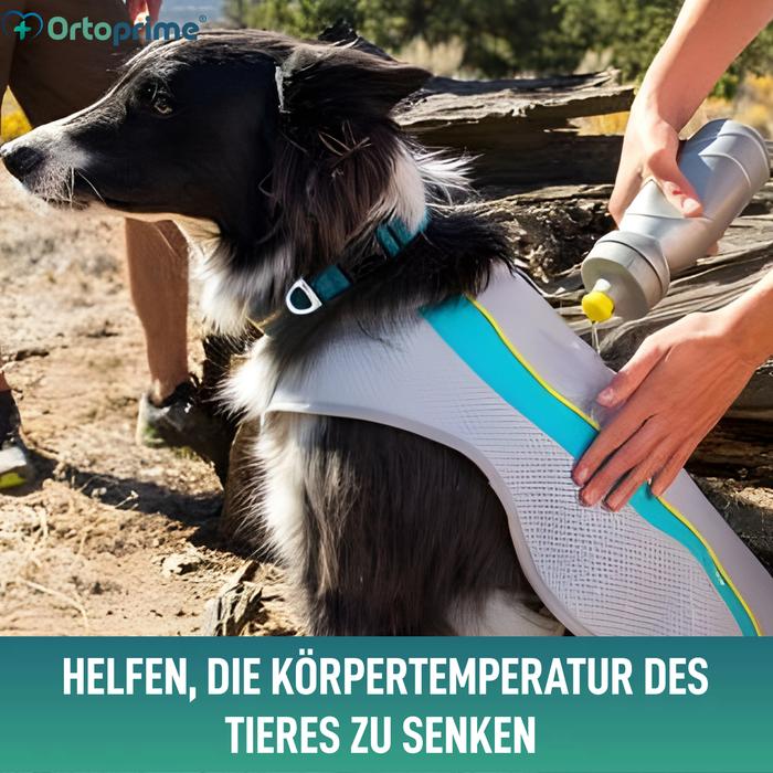Sommerweste für Hunde | Kühlung durch Verdunstung