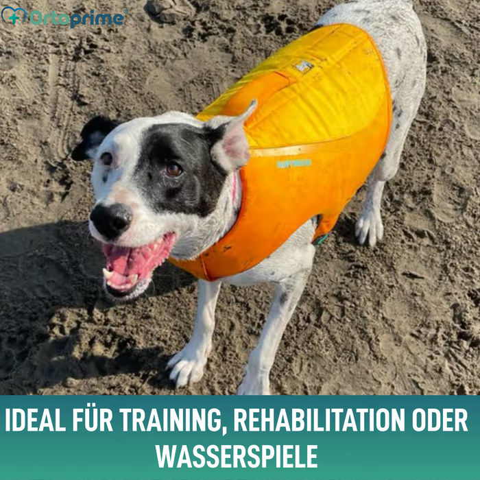 Hunde-Rettungsweste Mehrfachnutzung | Wassersicherheit