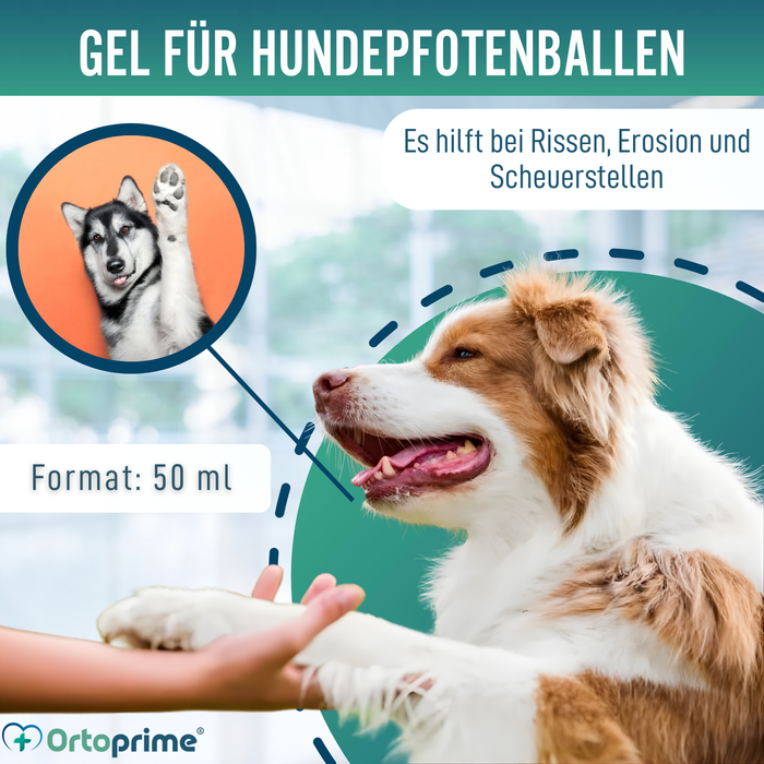 Pfotenbalsam für Hunde | Aloe Vera 50 ml