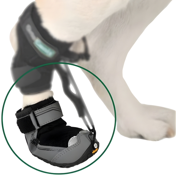 Schuh für Propriozeptiven Hundekorrektor | Gummisohle