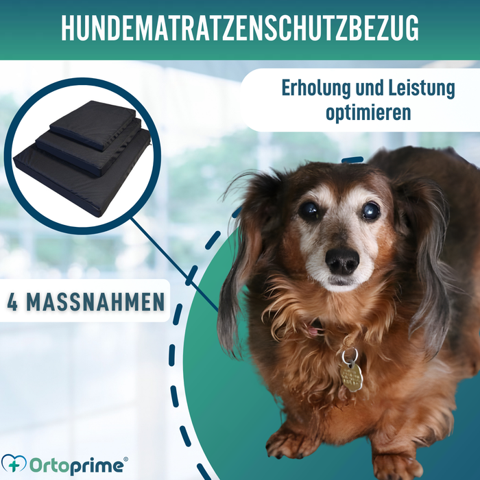 Wasserdichter Bezug für Orthopädische Hundematratze | 4 Größen