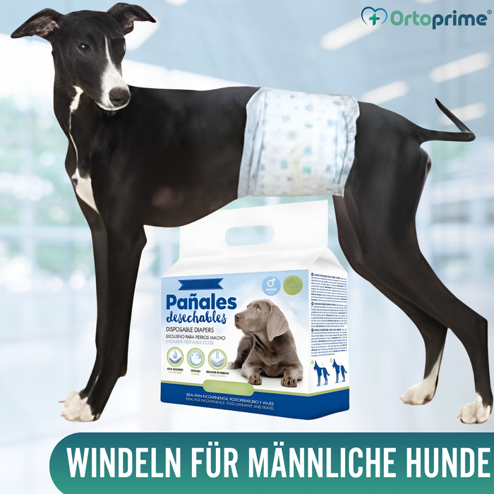 Hundewindeln für Rüden Ultra Saugfähig | 12er Pack