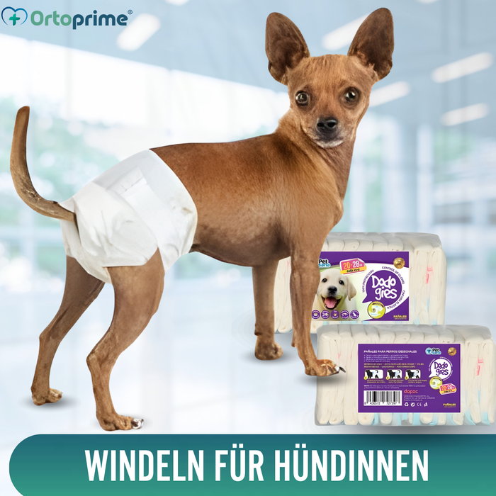 Hundewindeln für Hündinnen & Welpen | Hohe Saugkraft