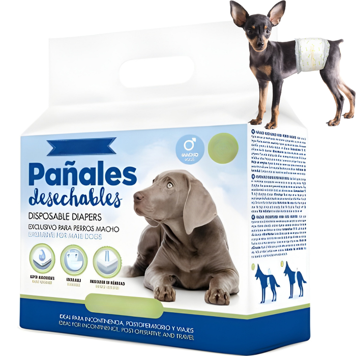 Hundewindeln für Rüden Ultra Saugfähig | 12er Pack