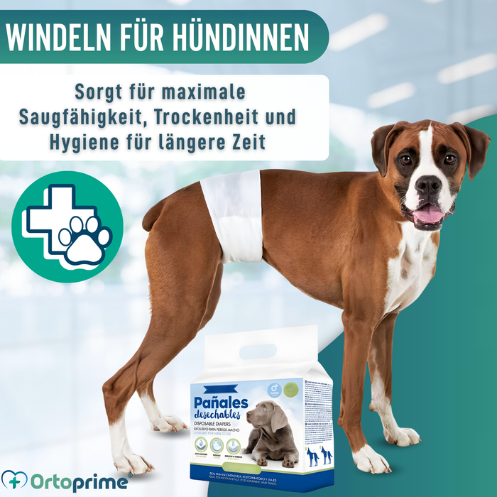 Hundewindeln für Rüden Ultra Saugfähig | 12er Pack