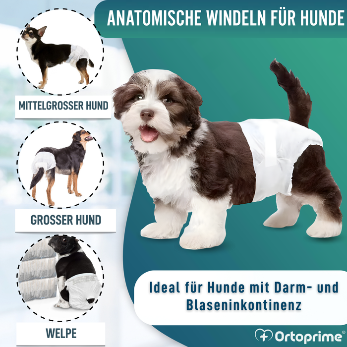 Hundewindeln für Hündinnen & Welpen | Hohe Saugkraft