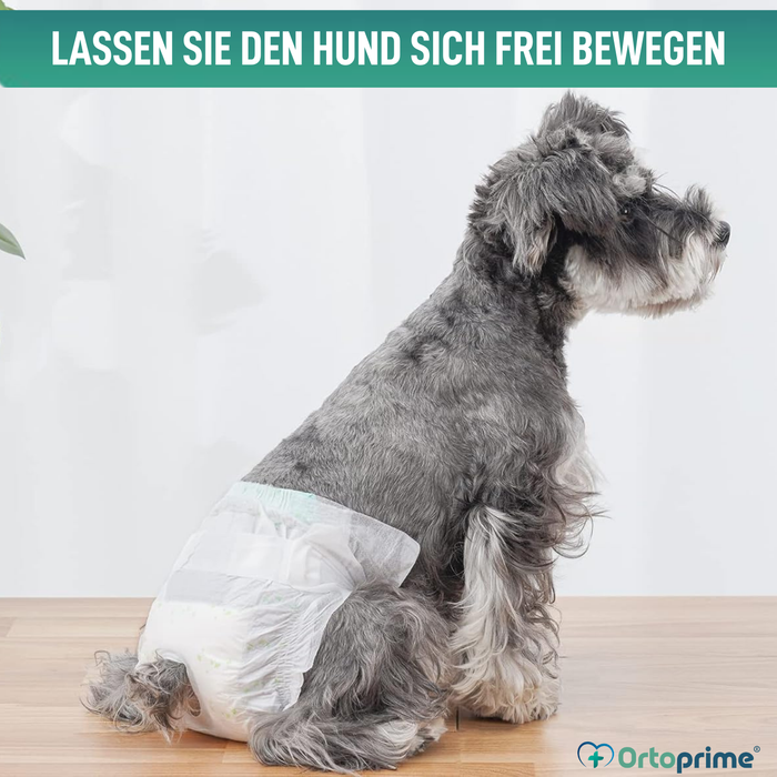 Hundewindeln für Hündinnen & Welpen | Hohe Saugkraft