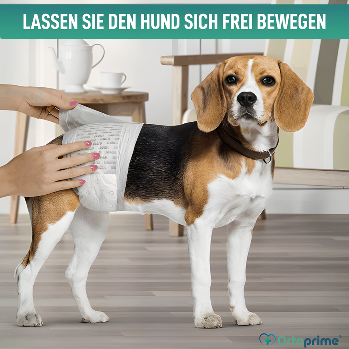 Hundewindeln für Rüden Ultra Saugfähig | 12er Pack