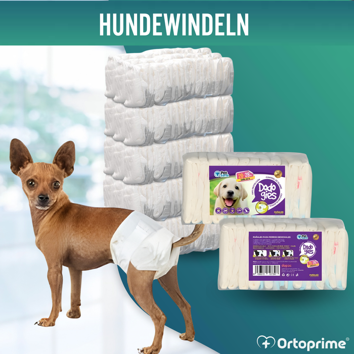 Hundewindeln für Hündinnen & Welpen | Hohe Saugkraft