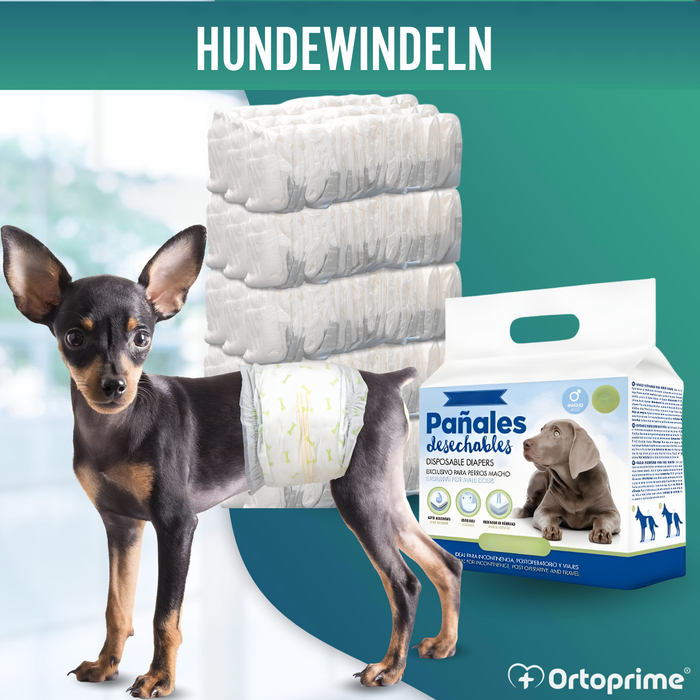Hundewindeln für Rüden Ultra Saugfähig | 12er Pack