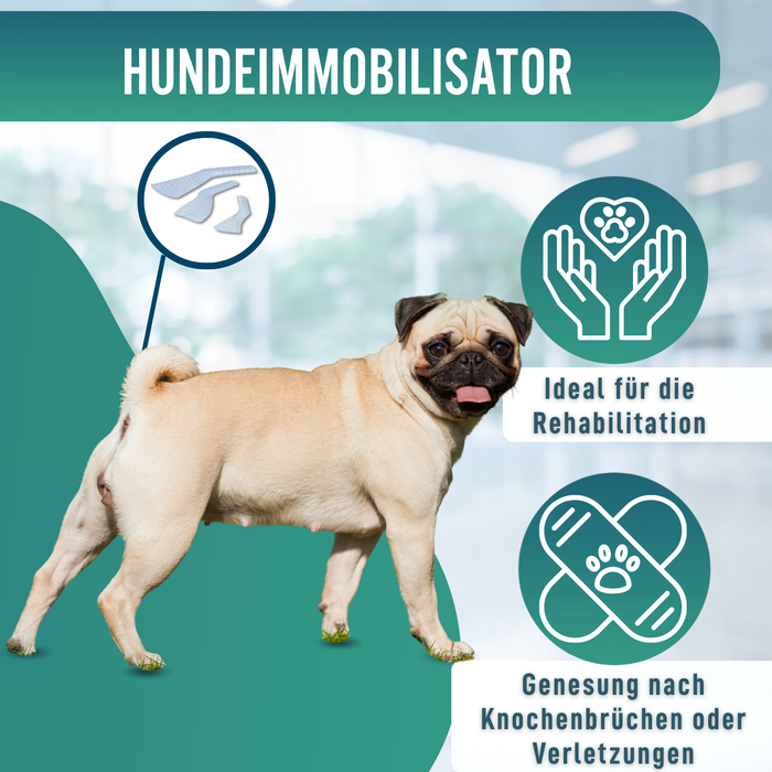 Schnellschiene für Hunde und Katzen | 3 Größen