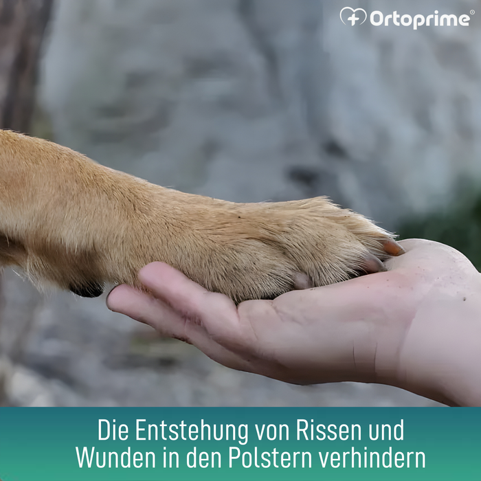 Pfotenbalsam für Hunde | Aloe Vera 50 ml