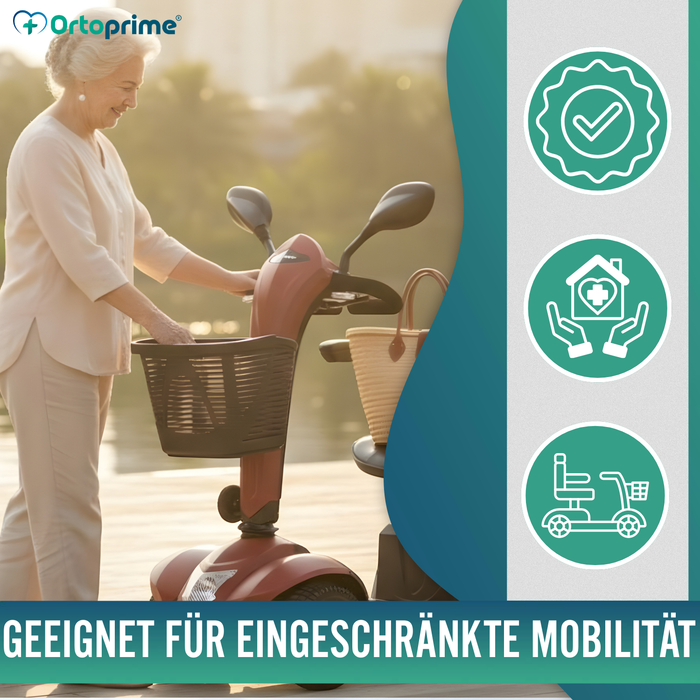 Elektro-Scooter der Neuesten Generation | Große 24cm Räder