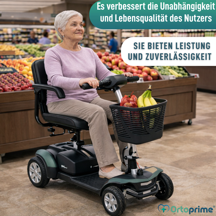 Elektroroller Zerlegbar | Lithium-Batterie 40Ah