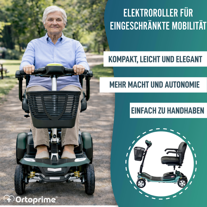 Elektroroller Zerlegbar | Lithium-Batterie 40Ah