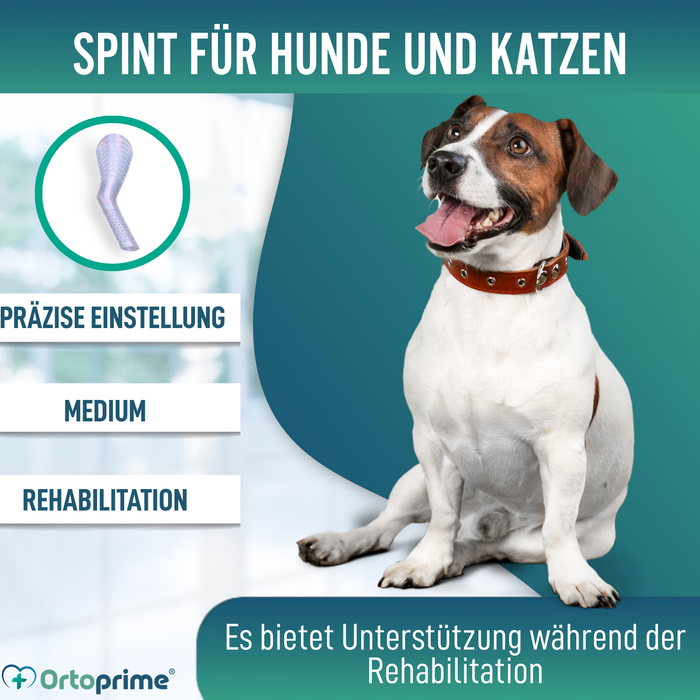Schnellschiene für Hunde und Katzen | 3 Größen