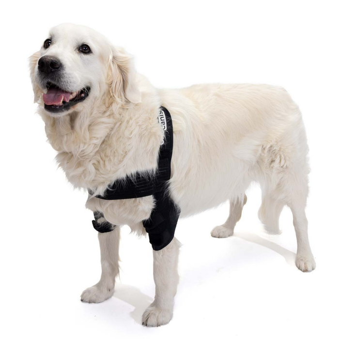 Ellbogenorthese für Hunde mit Arthrose Gelenkrehabilitation