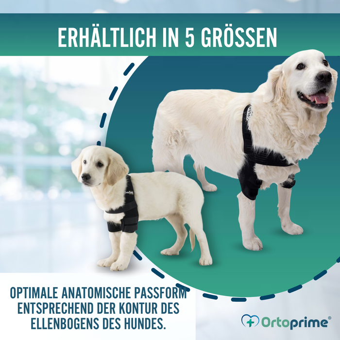 Ellbogenorthese für Hunde mit Arthrose Gelenkrehabilitation