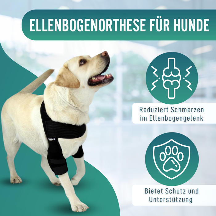 Ellbogenorthese für Hunde mit Arthrose Gelenkrehabilitation