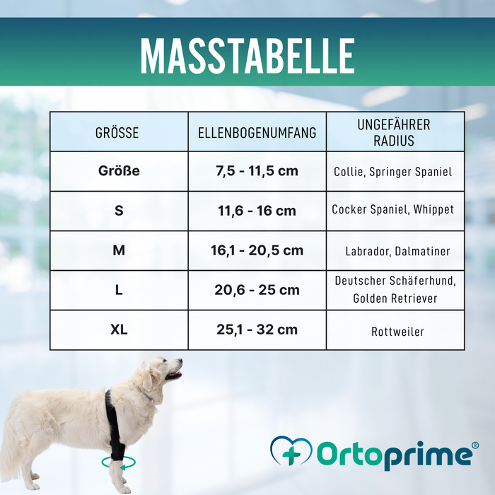 Ellbogenorthese für Hunde mit Arthrose Gelenkrehabilitation