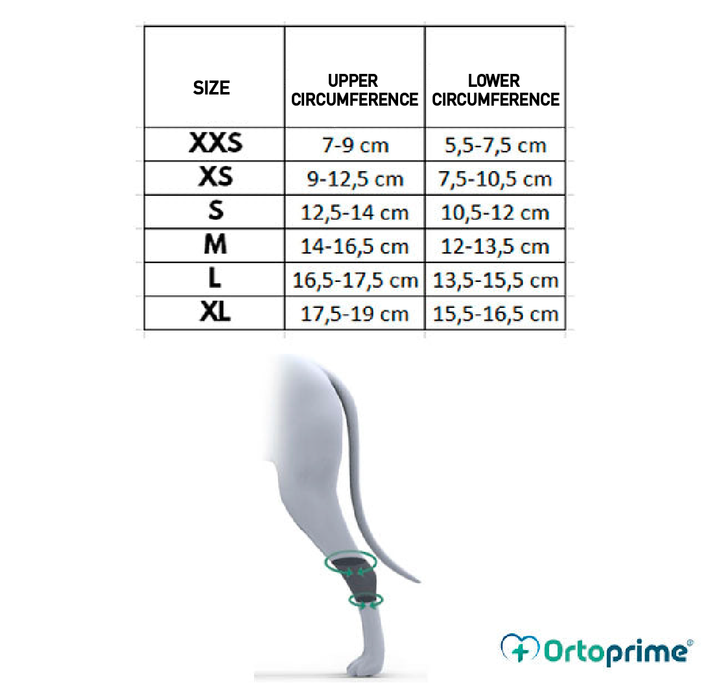 Tarsusstütze für Hunde | Anpassbar nach Größe