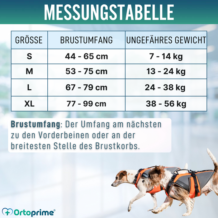 Ganzheitliches Rehabilitationsgeschirr für Hunde | 3D-Material