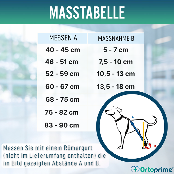 Gerät für Hundeataxie | Hilfe für Hunde