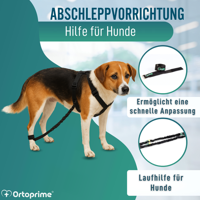 Gerät für Hundeataxie | Hilfe für Hunde