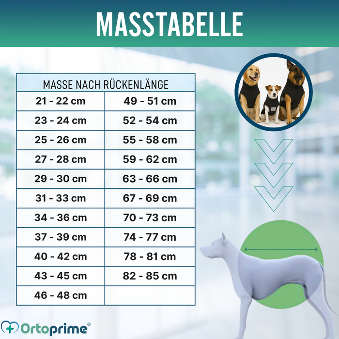 Hundedecke für Hunde mit Back on Track Gewebe | 21 Größen
