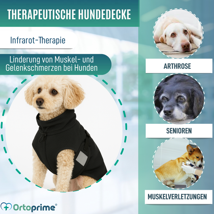 Hundedecke für Hunde mit Back on Track Gewebe | 21 Größen
